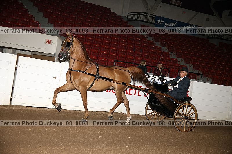 Proof buckeye_08_0003
