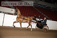 buckeye_08_0003 proof