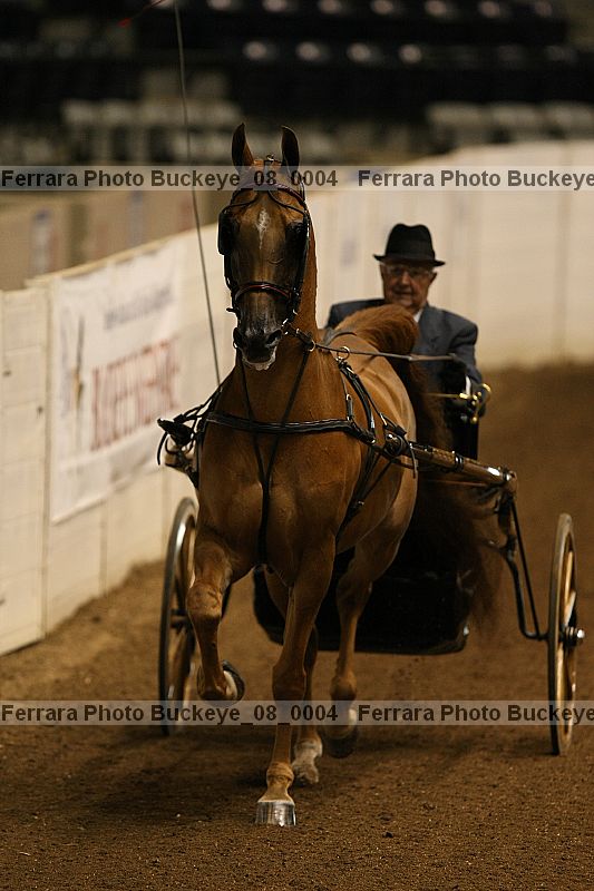 Proof buckeye_08_0004
