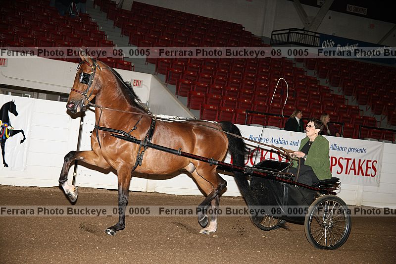 Proof buckeye_08_0005