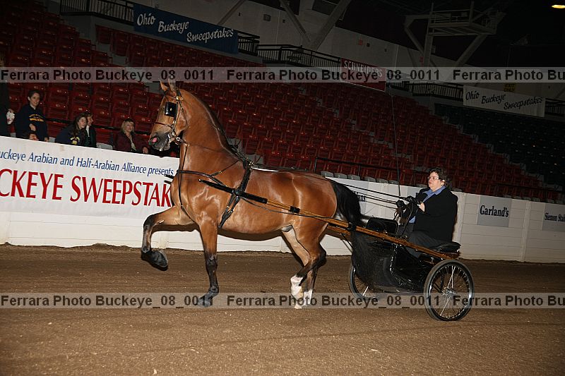 Proof buckeye_08_0011