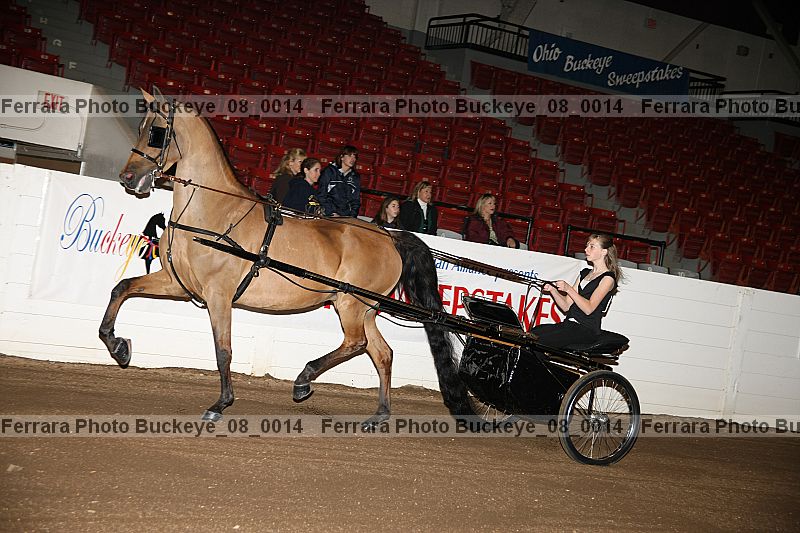 Proof buckeye_08_0014