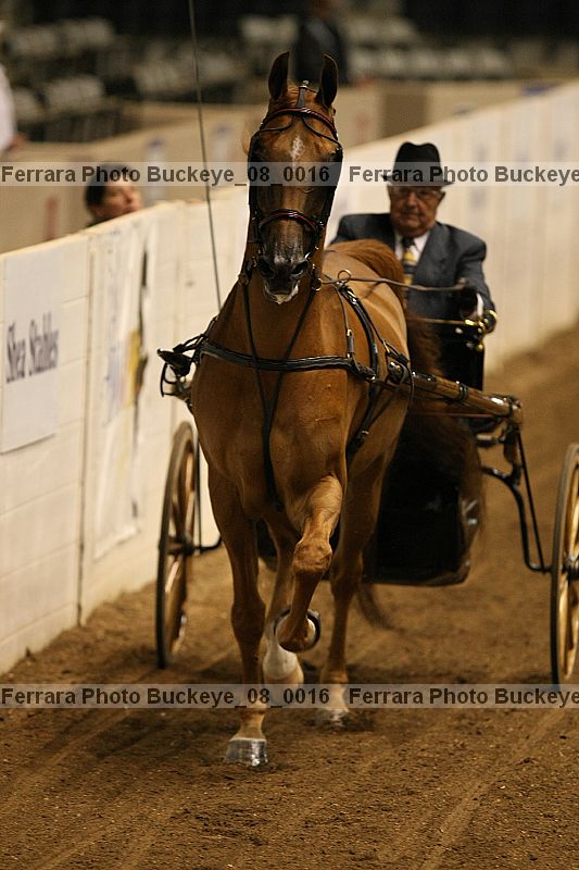 Proof buckeye_08_0016