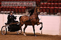 buckeye_08_0021 proof
