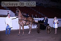 buckeye_08_0023 proof