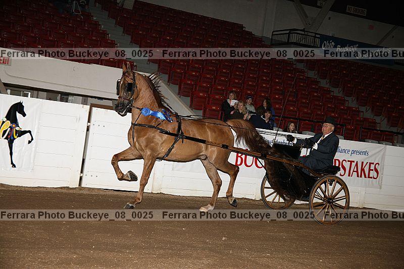 Proof buckeye_08_0025