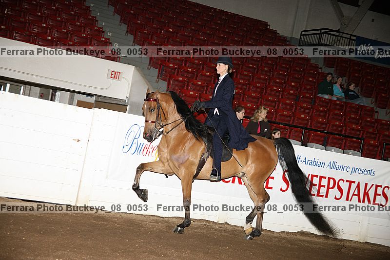 Proof buckeye_08_0053