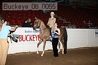 buckeye_08_0055 proof