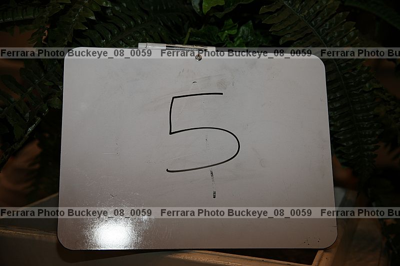 Proof buckeye_08_0059