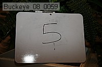 buckeye_08_0059 proof