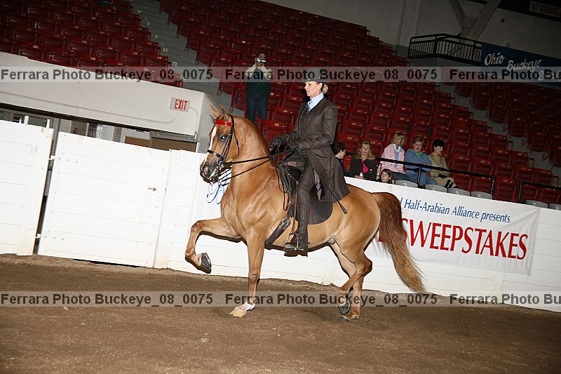 Proof buckeye_08_0075