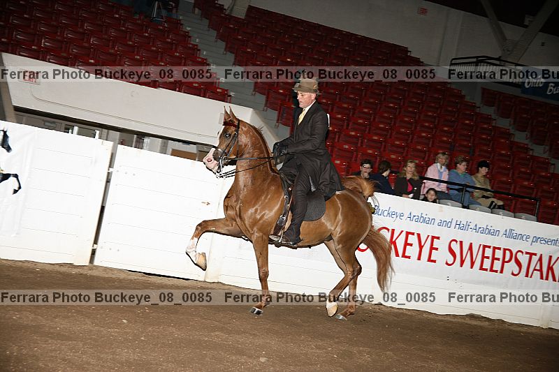 Proof buckeye_08_0085