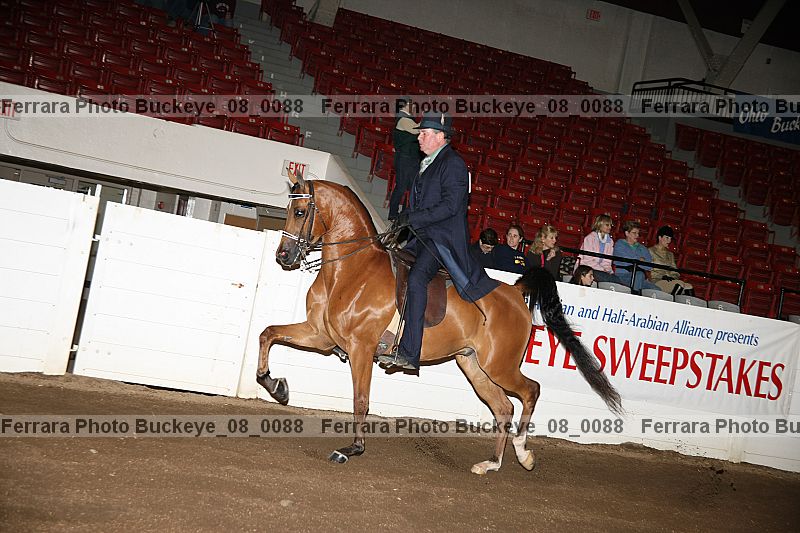 Proof buckeye_08_0088