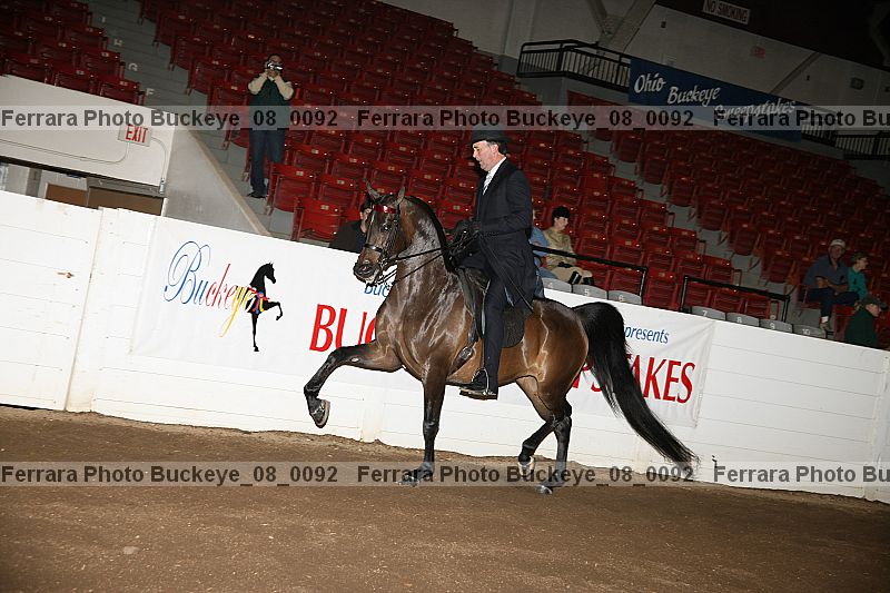 Proof buckeye_08_0092