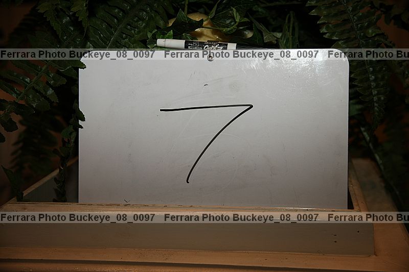 Proof buckeye_08_0097