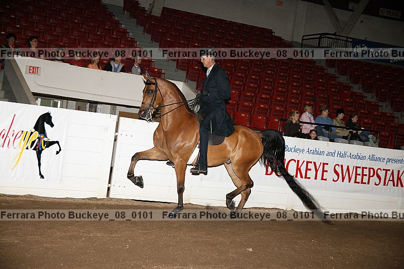 Proof buckeye_08_0101