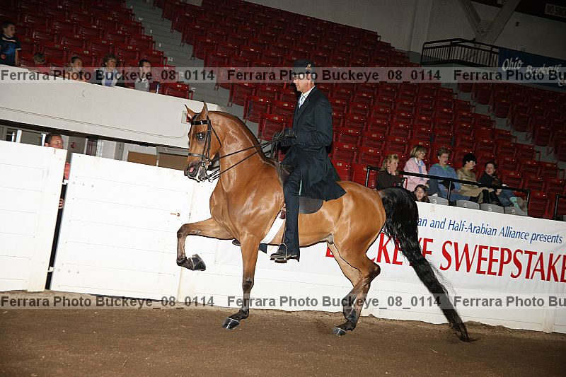 Proof buckeye_08_0114