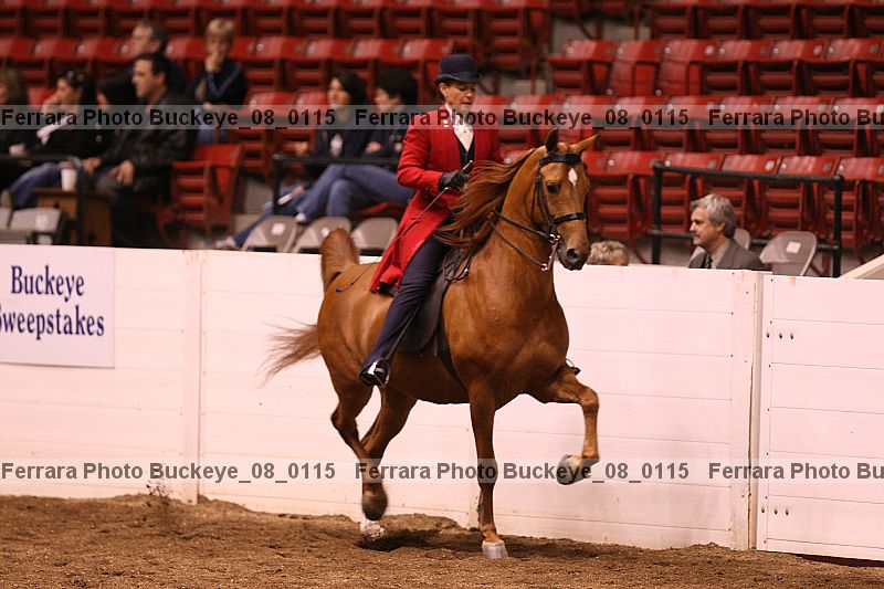 Proof buckeye_08_0115