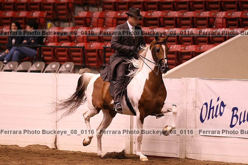 Proof buckeye_08_0116