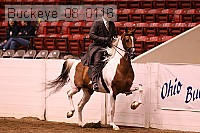 buckeye_08_0116 proof
