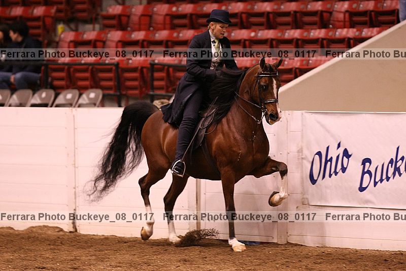 Proof buckeye_08_0117