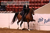 buckeye_08_0117 proof