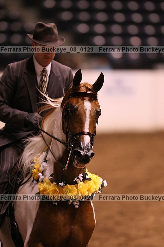 Proof buckeye_08_0129