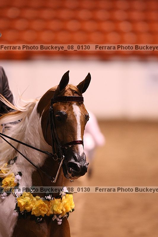 Proof buckeye_08_0130