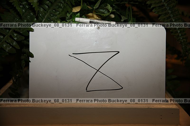 Proof buckeye_08_0131