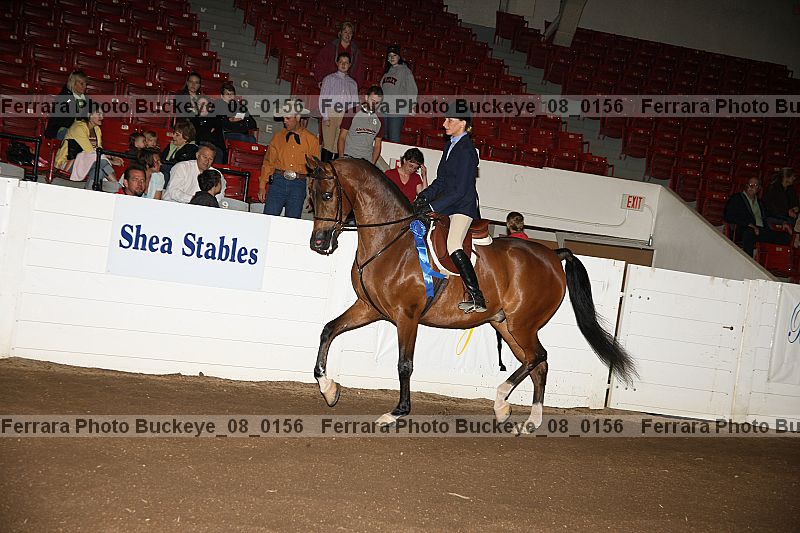 Proof buckeye_08_0156