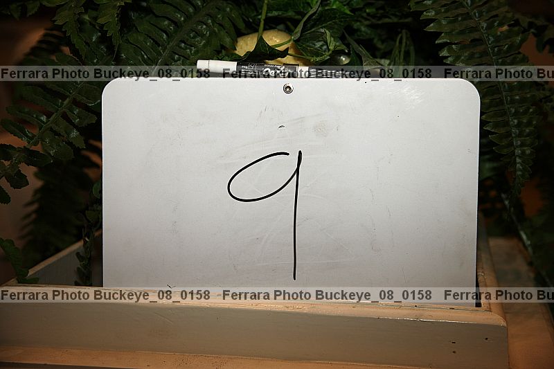Proof buckeye_08_0158
