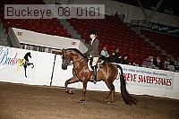 buckeye_08_0181 proof