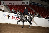 buckeye_08_0188 proof