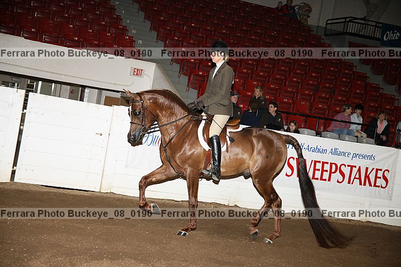 Proof buckeye_08_0190