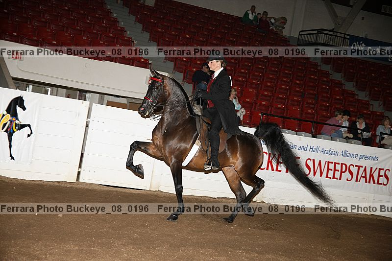 Proof buckeye_08_0196