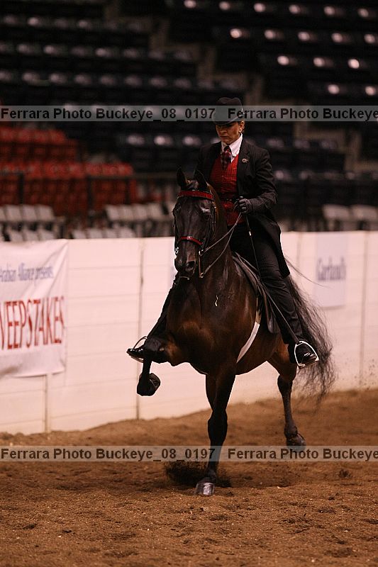 Proof buckeye_08_0197