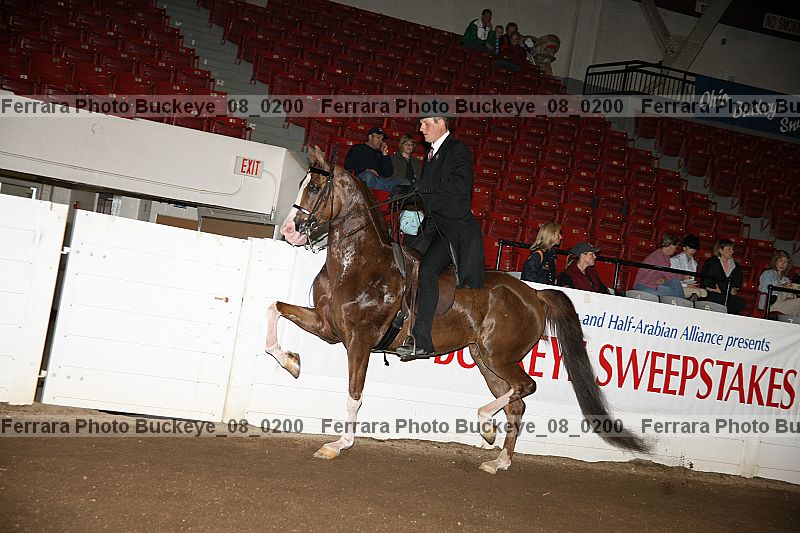 Proof buckeye_08_0200