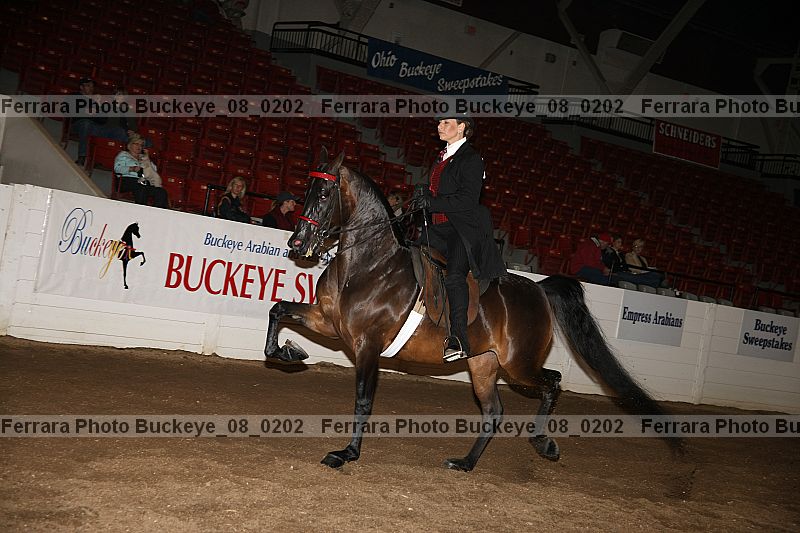 Proof buckeye_08_0202