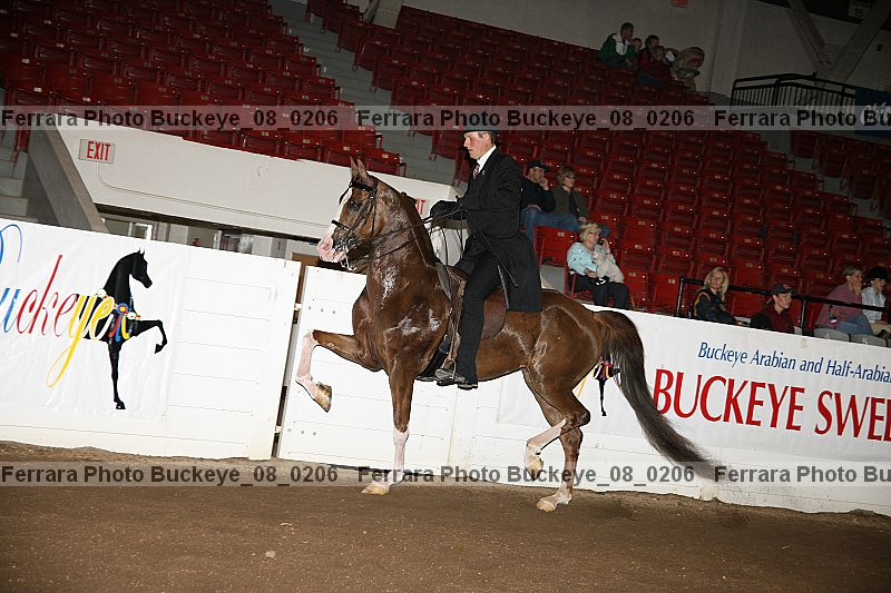 Proof buckeye_08_0206