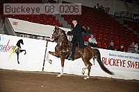 buckeye_08_0206 proof