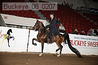 buckeye_08_0207 proof
