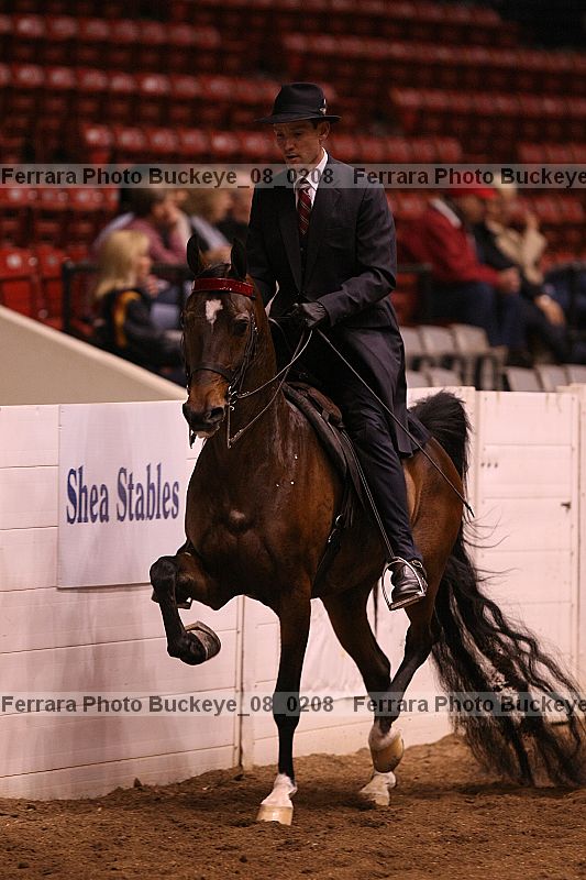 Proof buckeye_08_0208