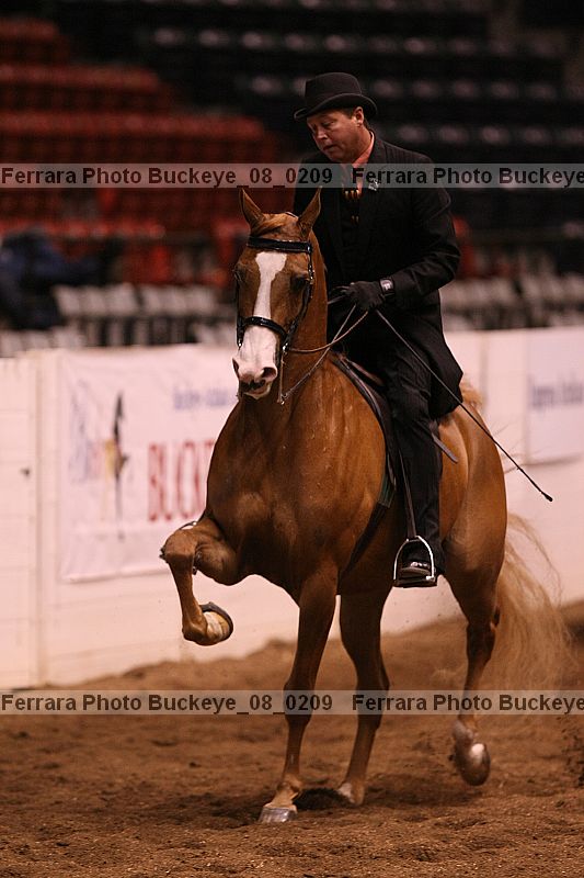 Proof buckeye_08_0209