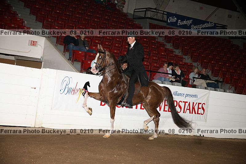 Proof buckeye_08_0210