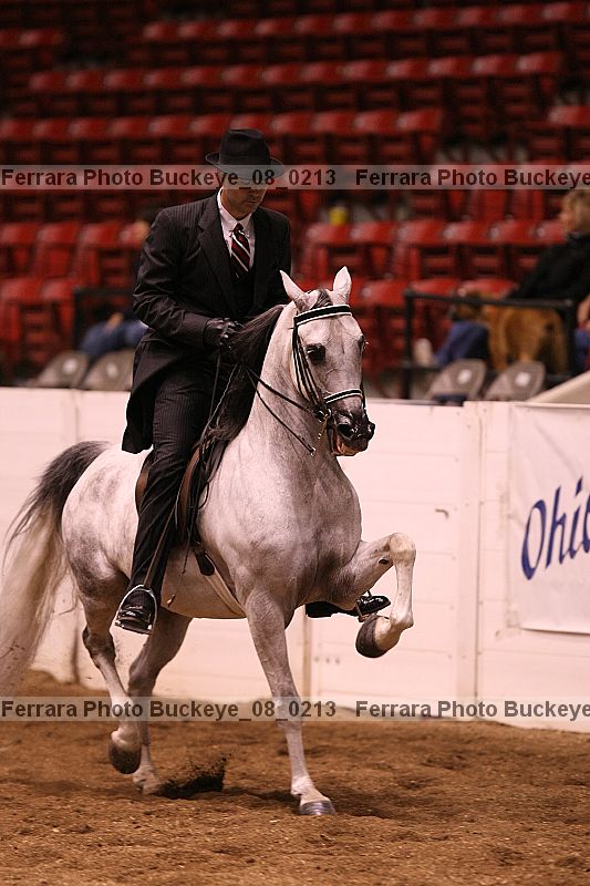 Proof buckeye_08_0213