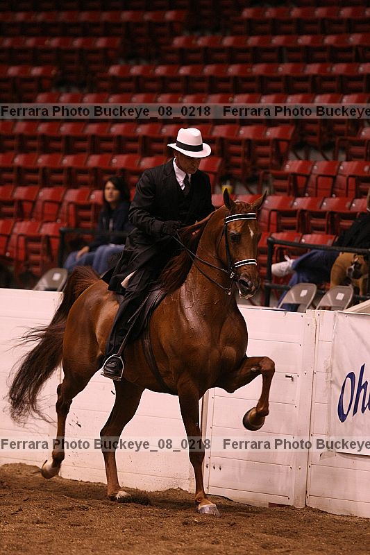 Proof buckeye_08_0218
