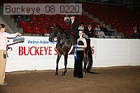 buckeye_08_0220 proof