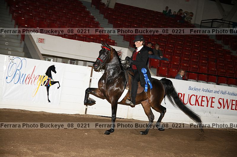Proof buckeye_08_0221