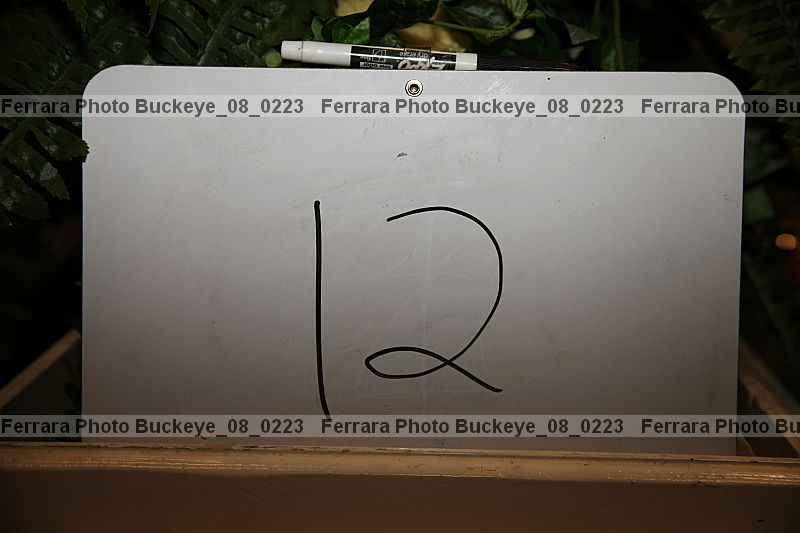 Proof buckeye_08_0223