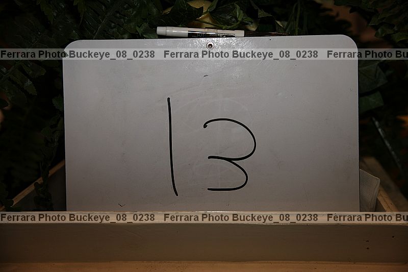 Proof buckeye_08_0238